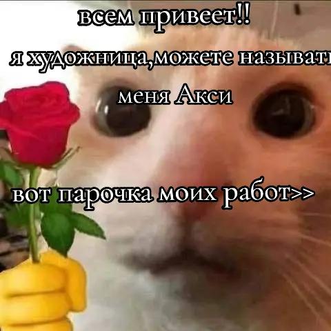 @aksii_