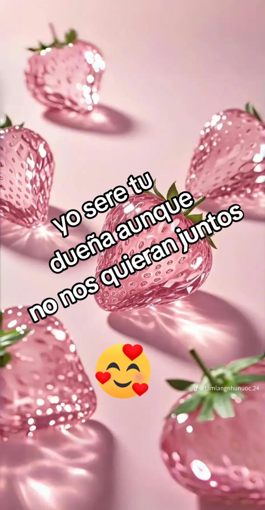 @🫀Chispita🧠 Alegre 💥