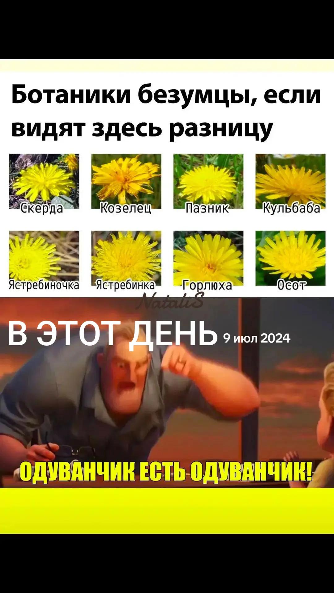 @Наталья