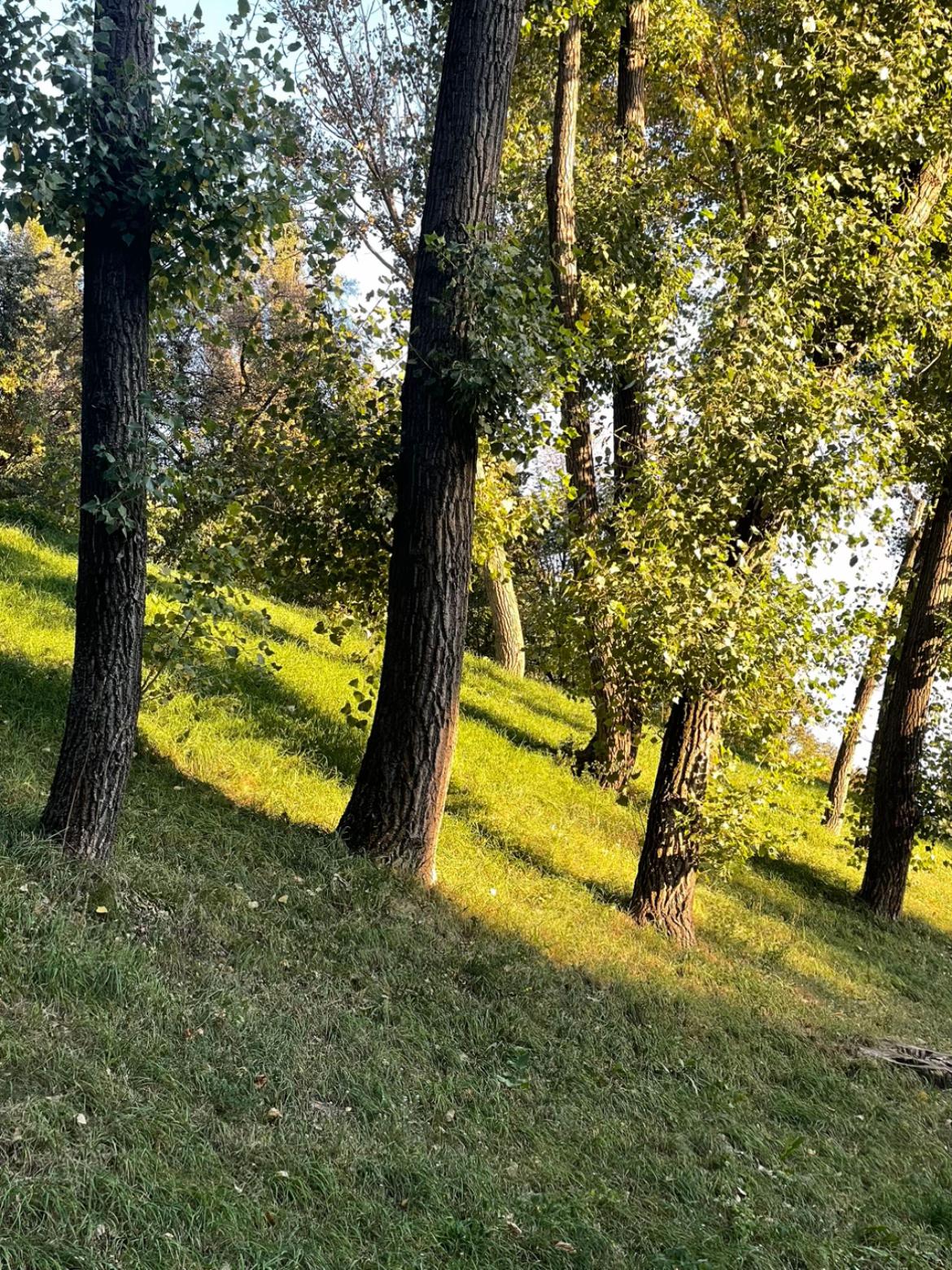 @соня