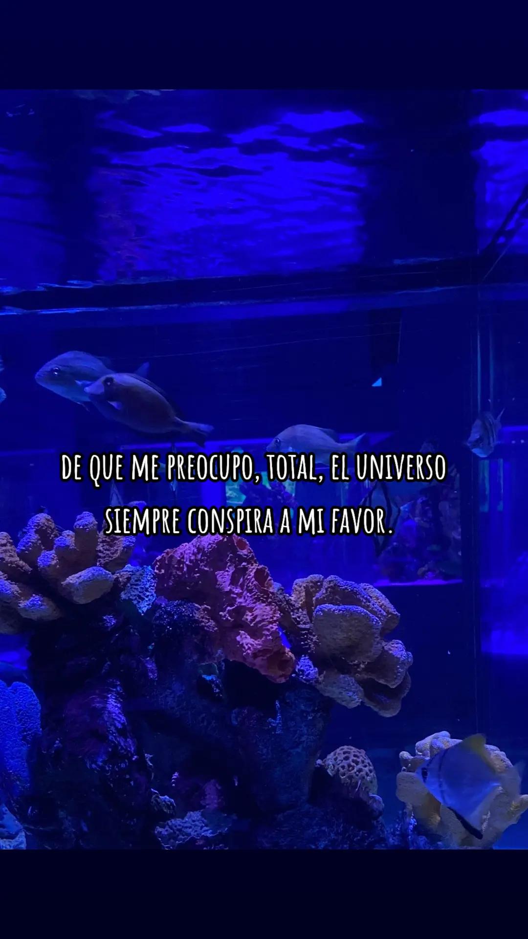 @Fernanda alba♡