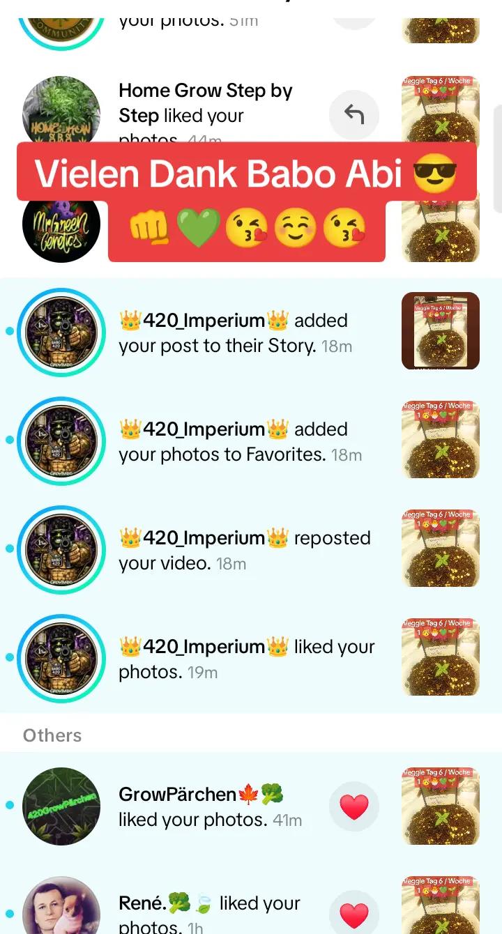 @420_Kaktus.Gurke_69