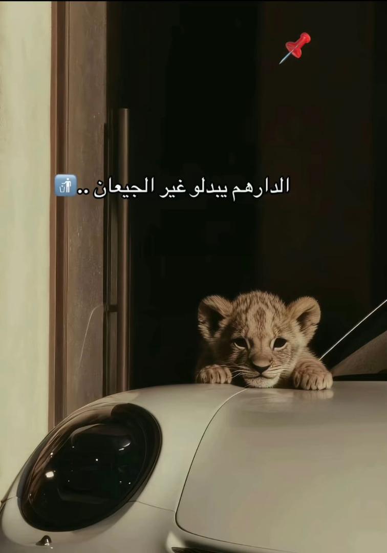@BouBouu🫀