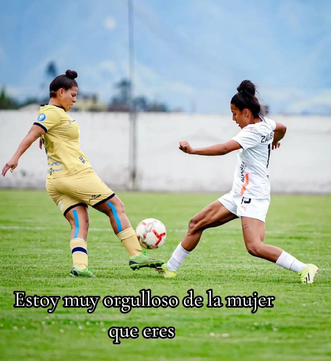 @Daniel Hualpa