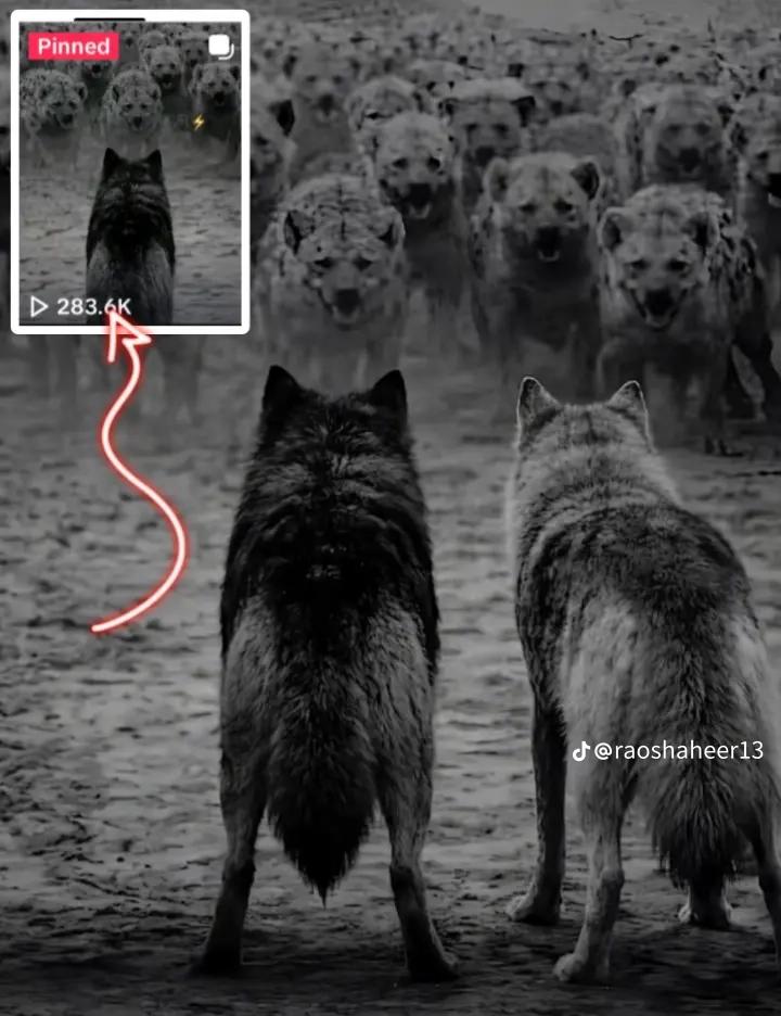 @⛧♛MANSOORALI ♛⛧