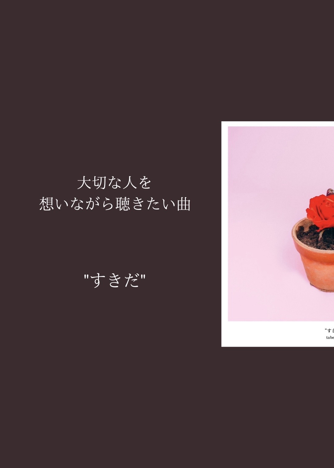@多部大 / tabehiro