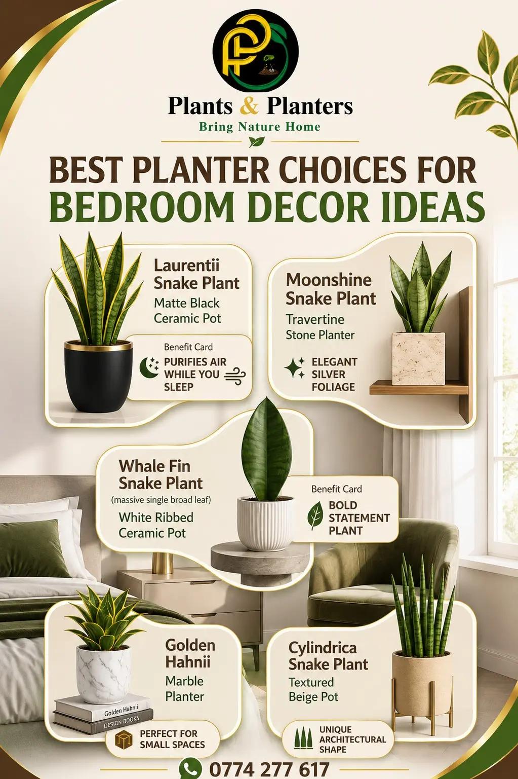 @Plants&PlantersbyChefJ (AJE)