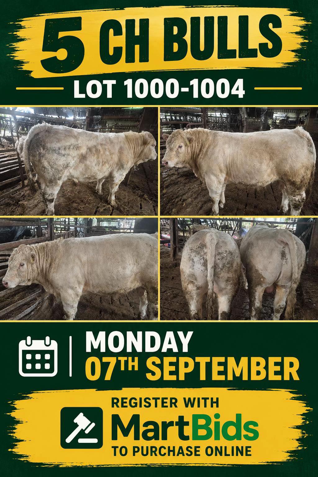 @Carrigallen_Mart