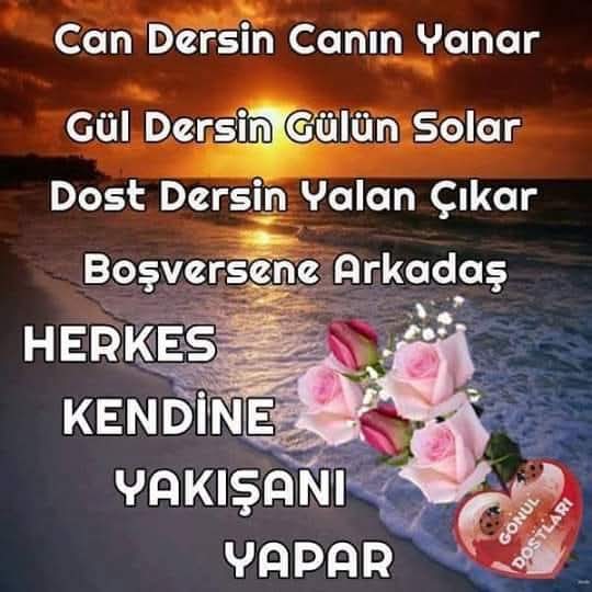 @karadayı