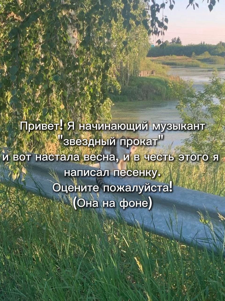 @Звездный прокат