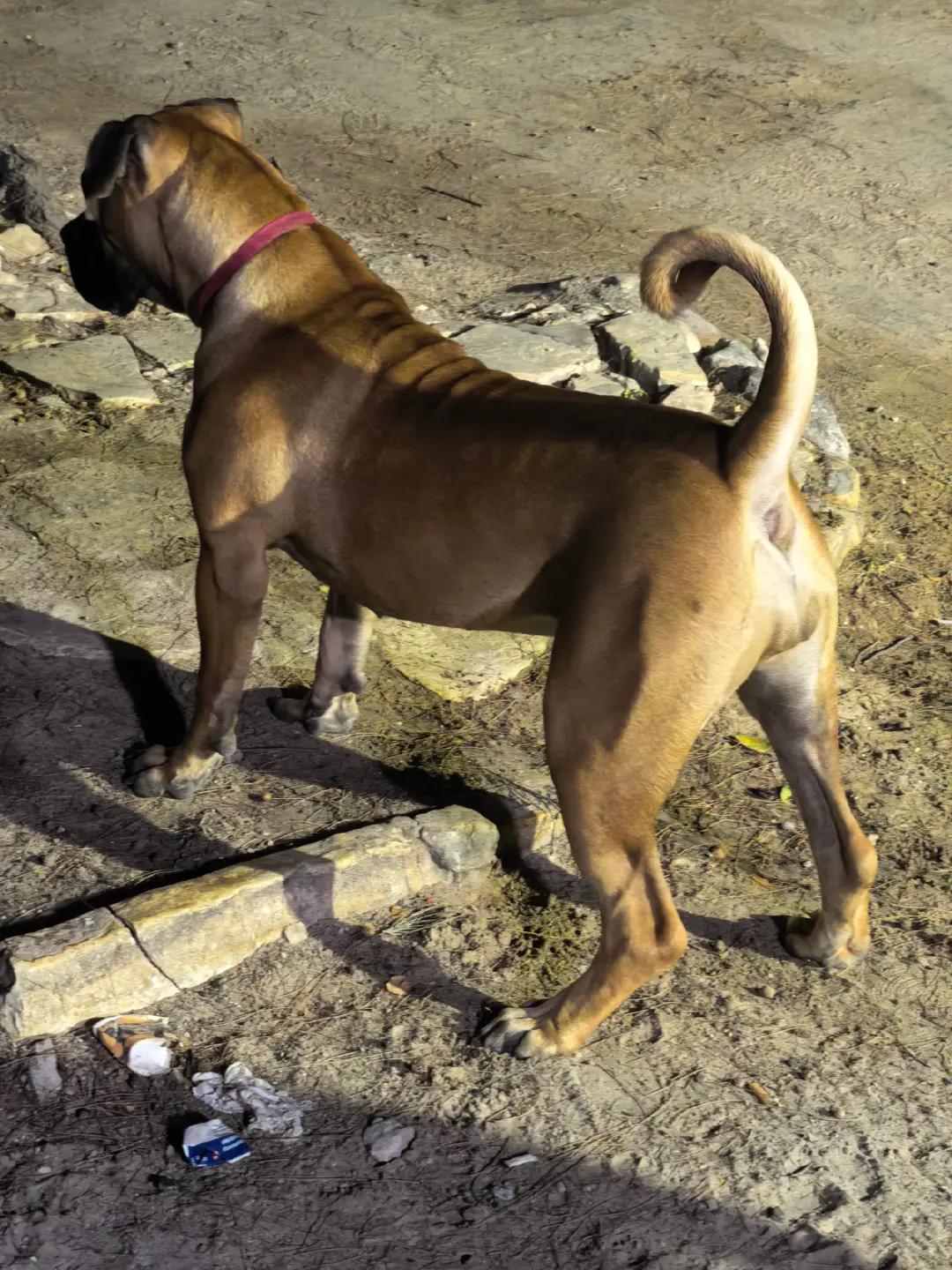 @Irie Boerboels Sn