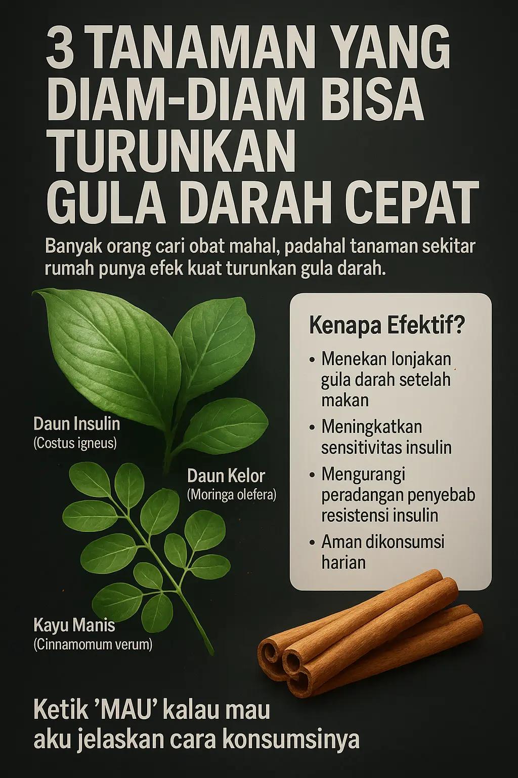 @SAHABAT DIABETES