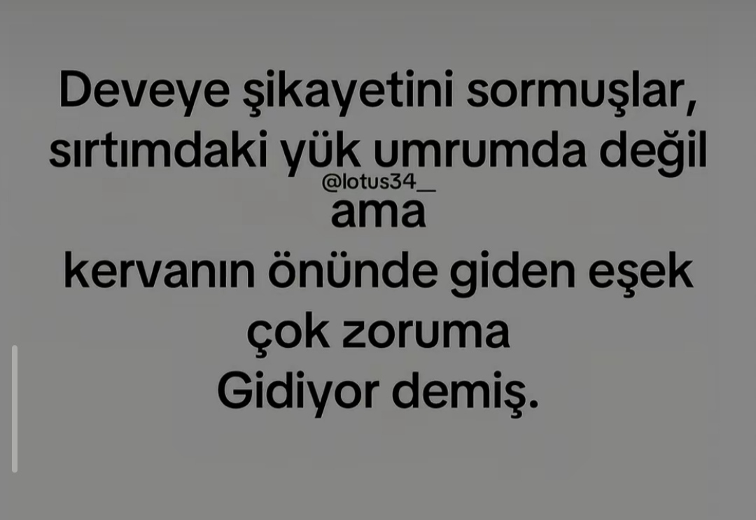 @Sibel Oktay