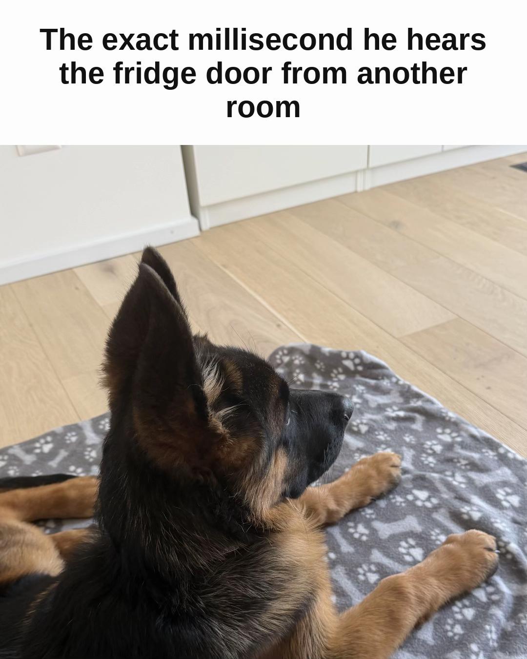 @gsd.kuba
