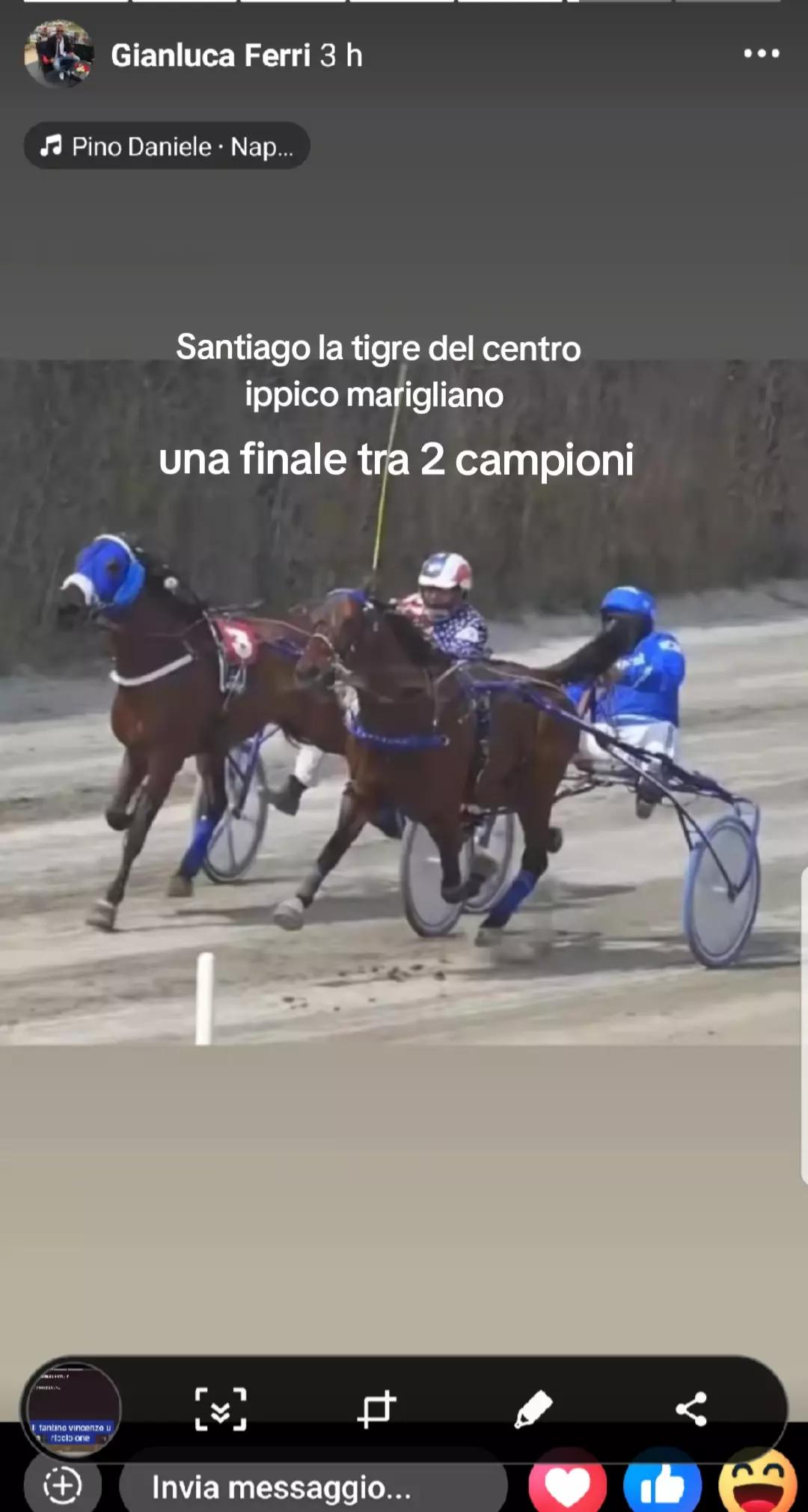 @Vincenzo Veneroso796