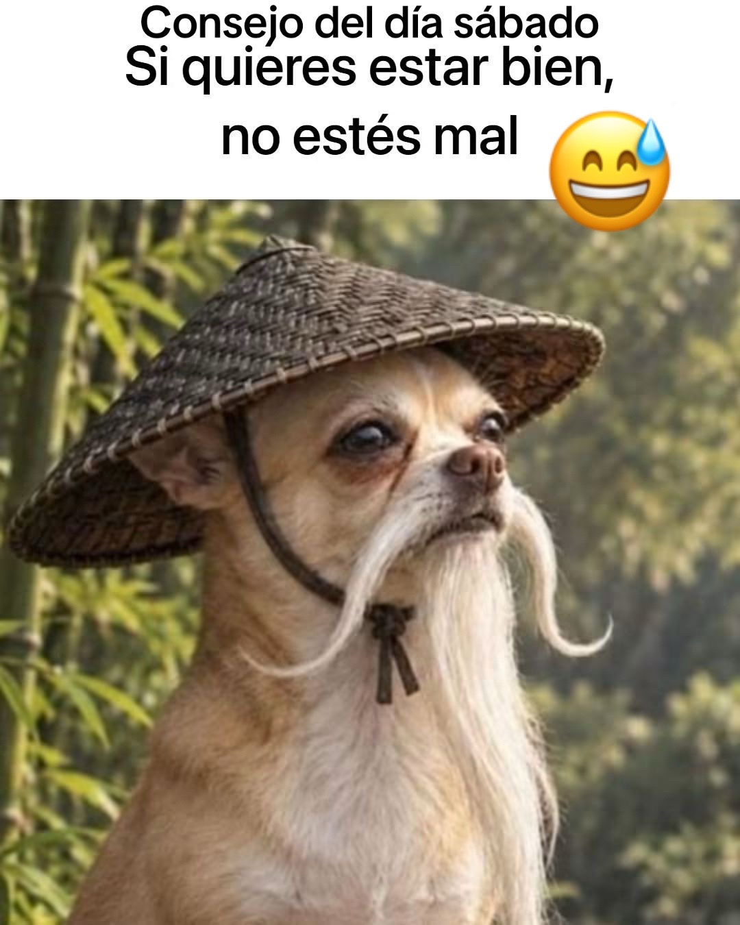 @magui