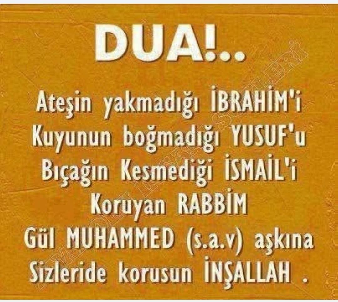 @Raziye Erim