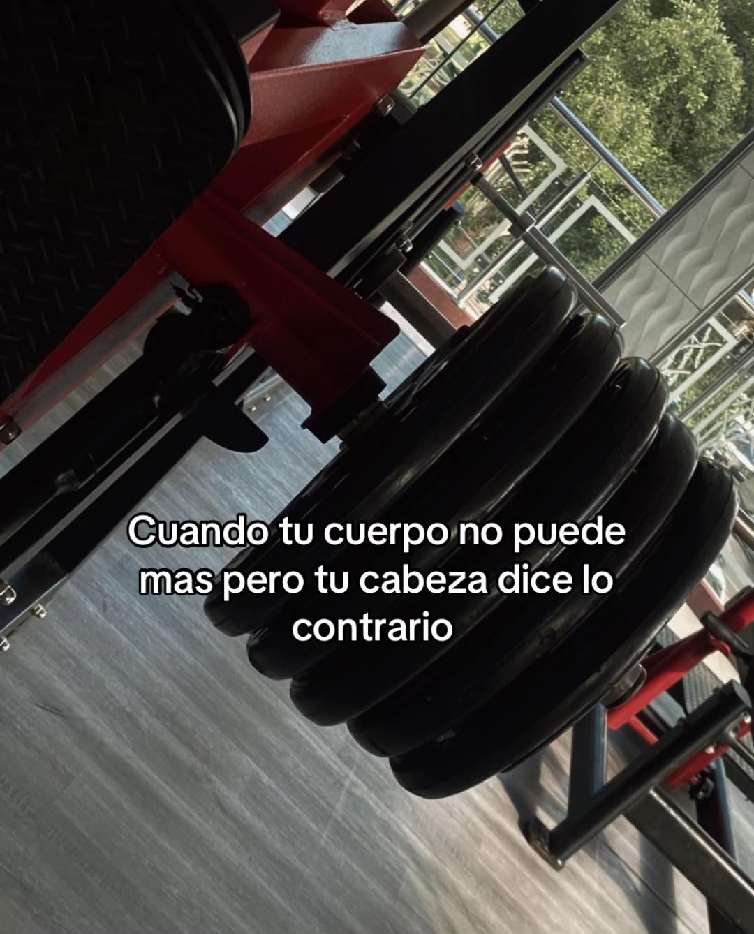 @Alxn.zin