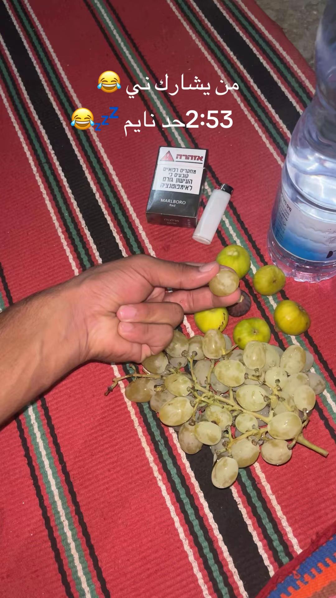@BOOS🪶