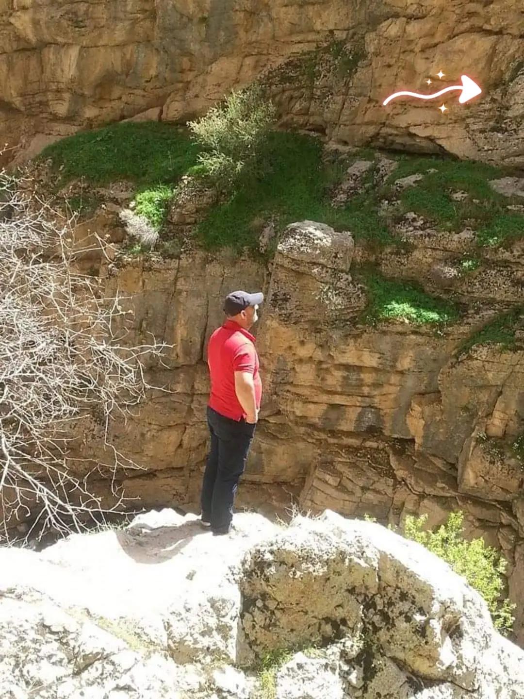 @ابو رضا الطباخ