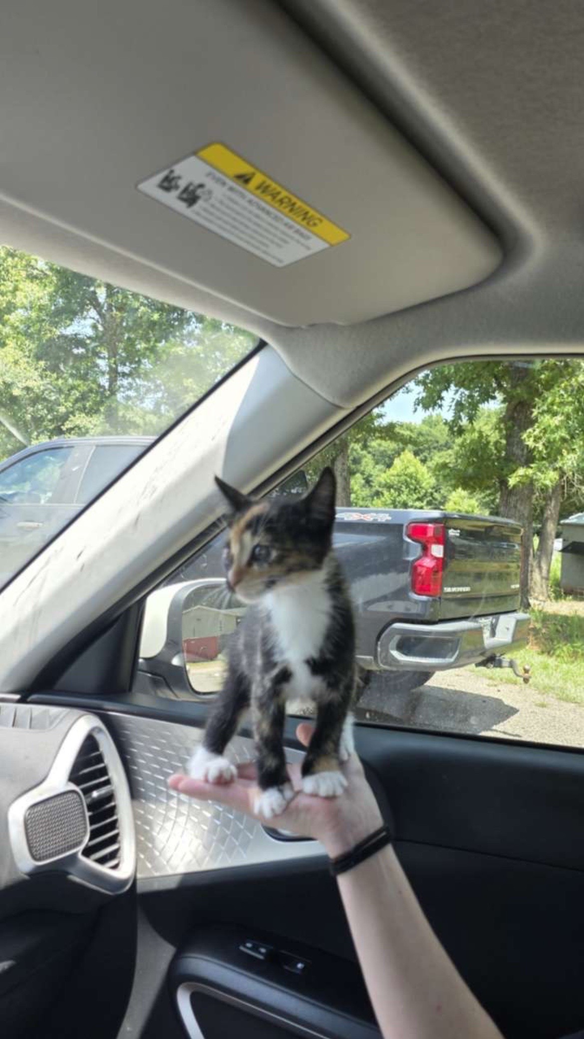 @😻