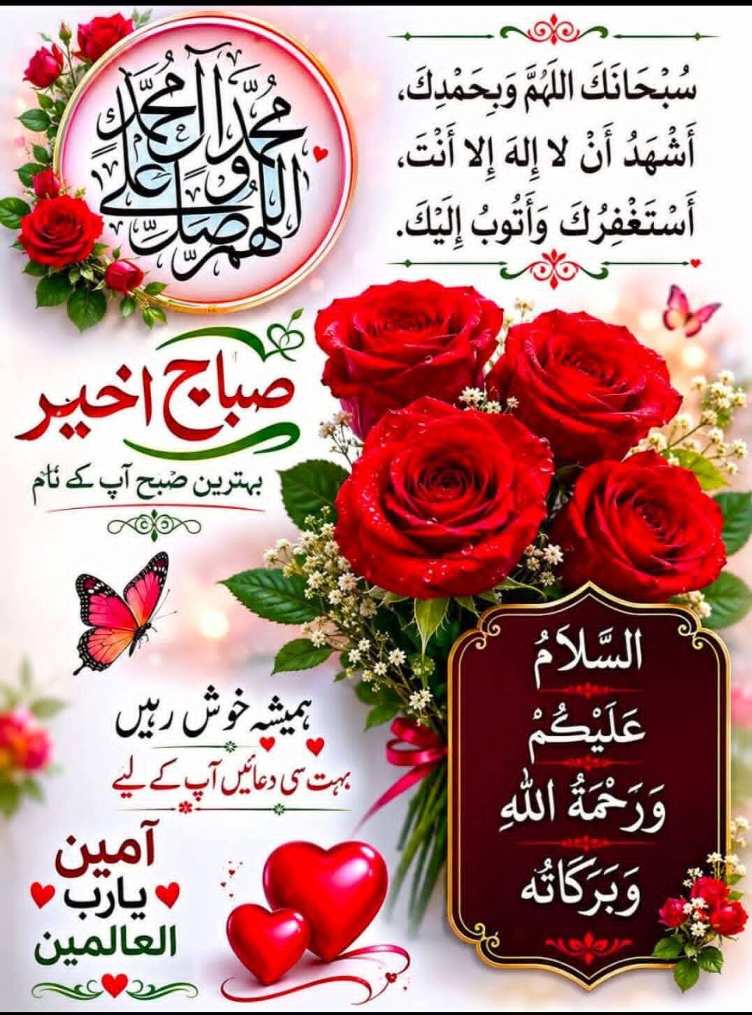 @maliksajjad1860