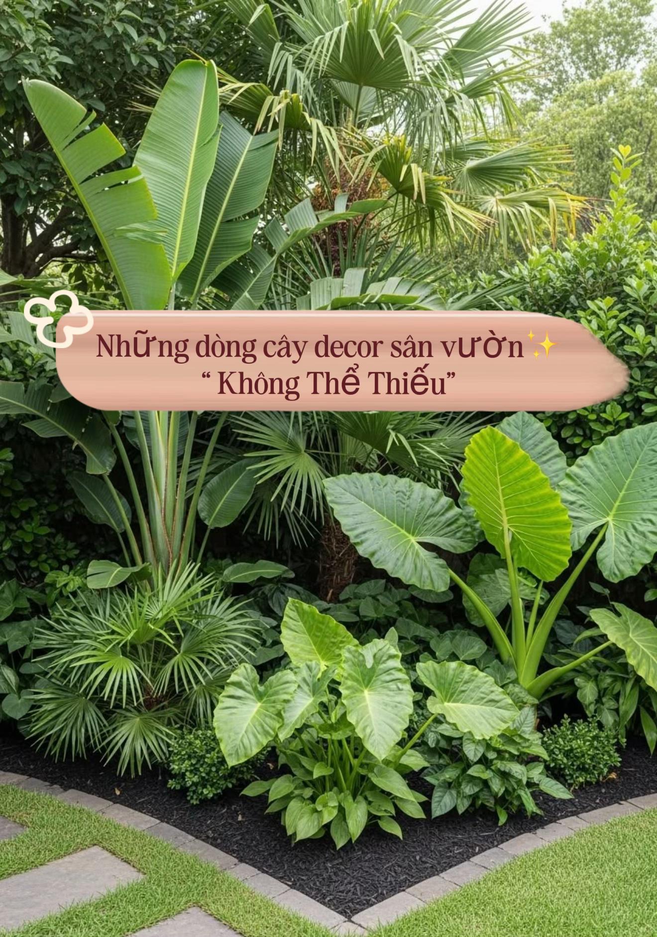 @Tiệm Lá Nhỏ