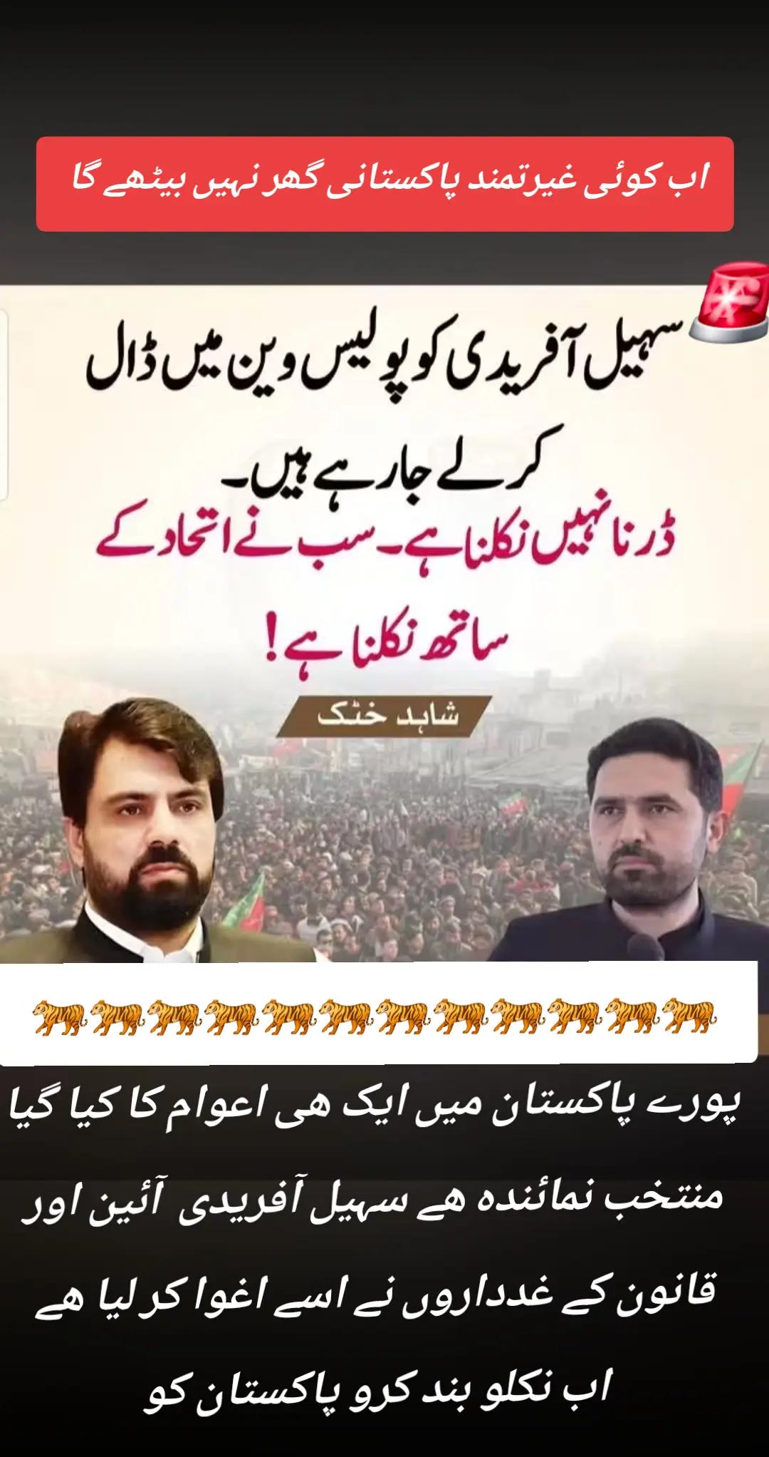@اڈیالہ 804