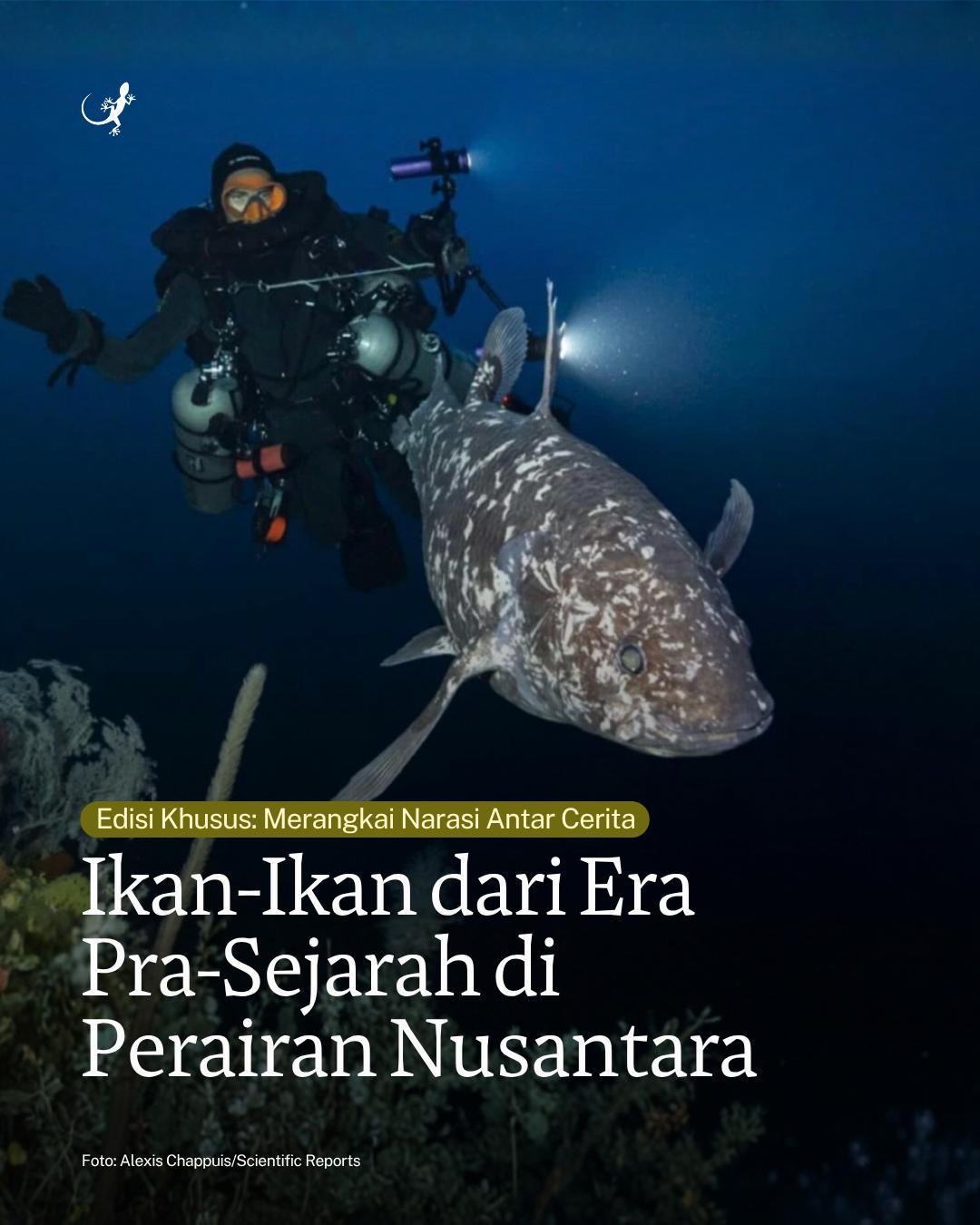 @mongabayindonesia