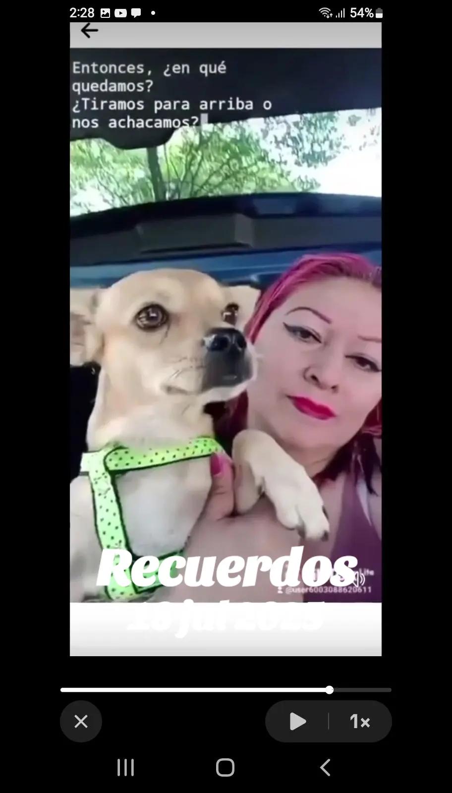 @Ana Yanira Vasquez