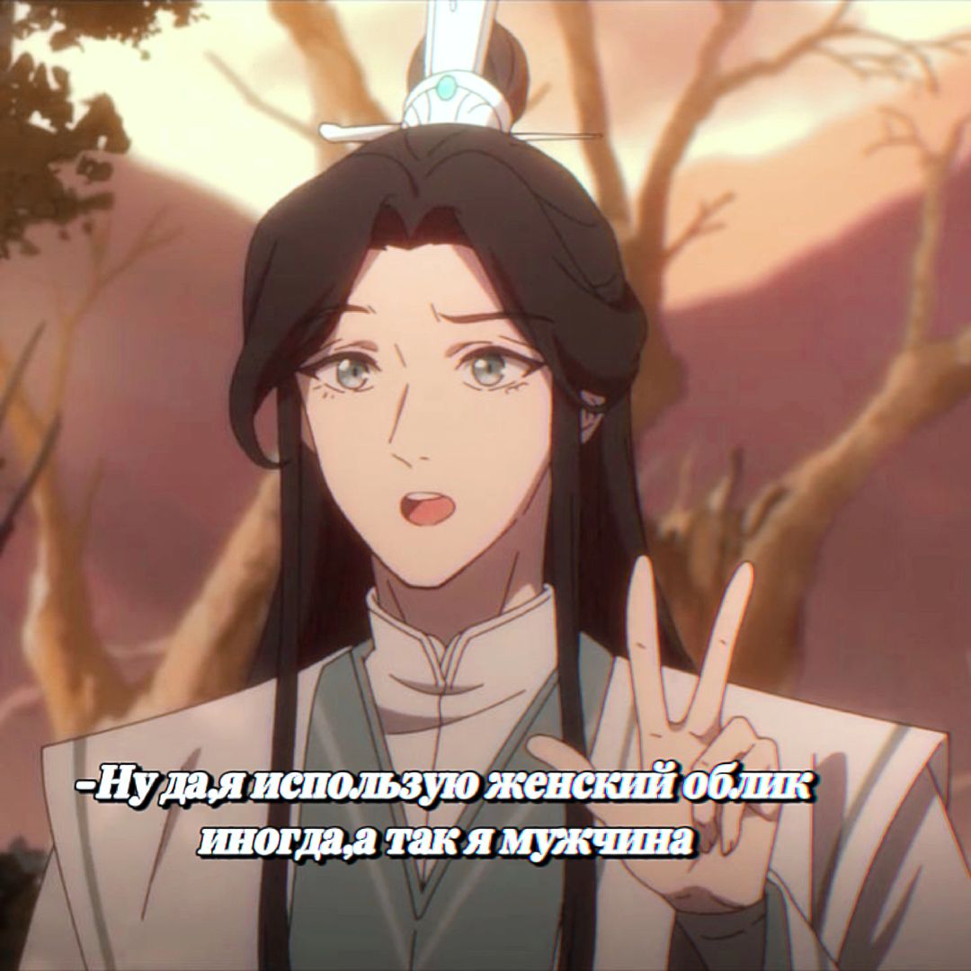 @신카.(shinka)