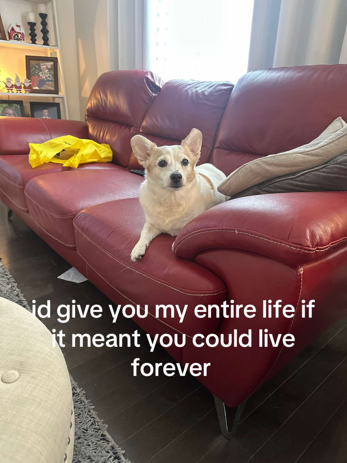 @Jess Porter