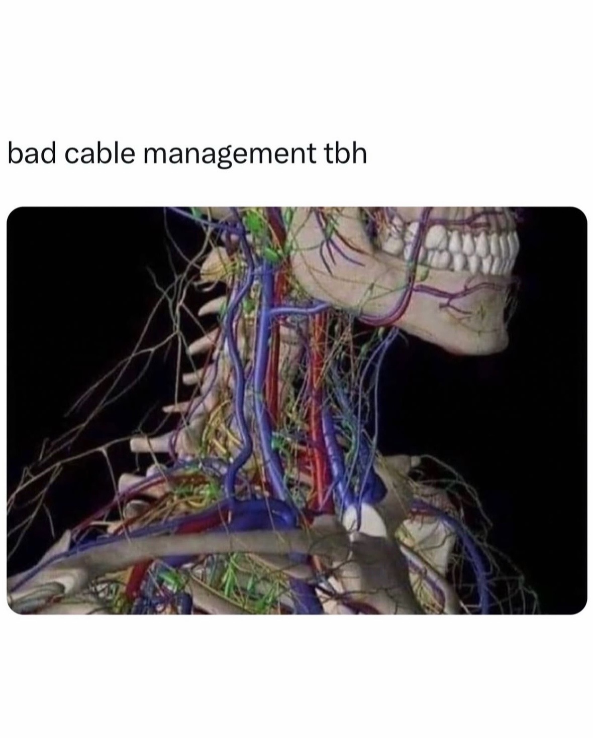 @._.dracooo0