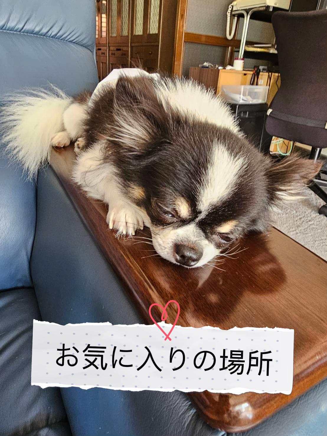 @ヒロキ