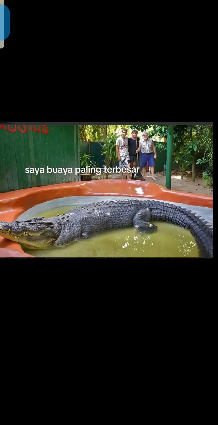 @[ABiZAR😝GANTENG]