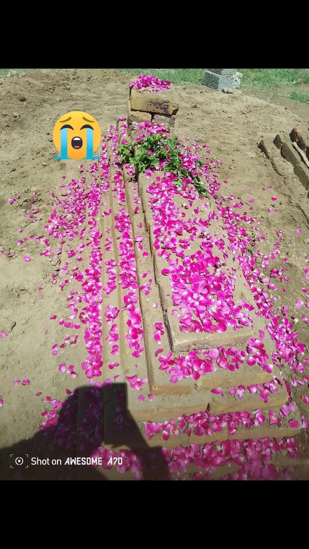 @ali awan 773
