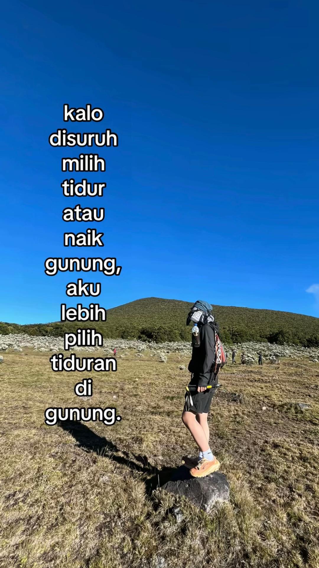 @queenuts