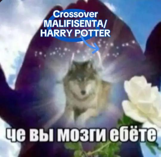 @Roys [COMMS CLOSED]