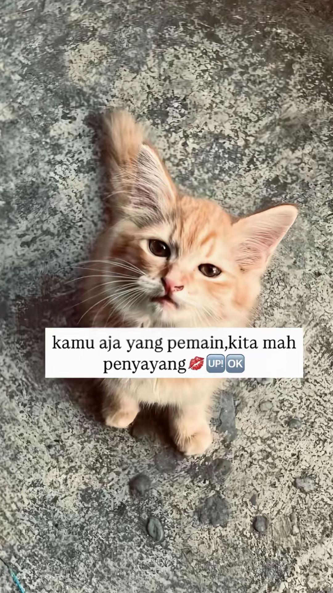 @alya
