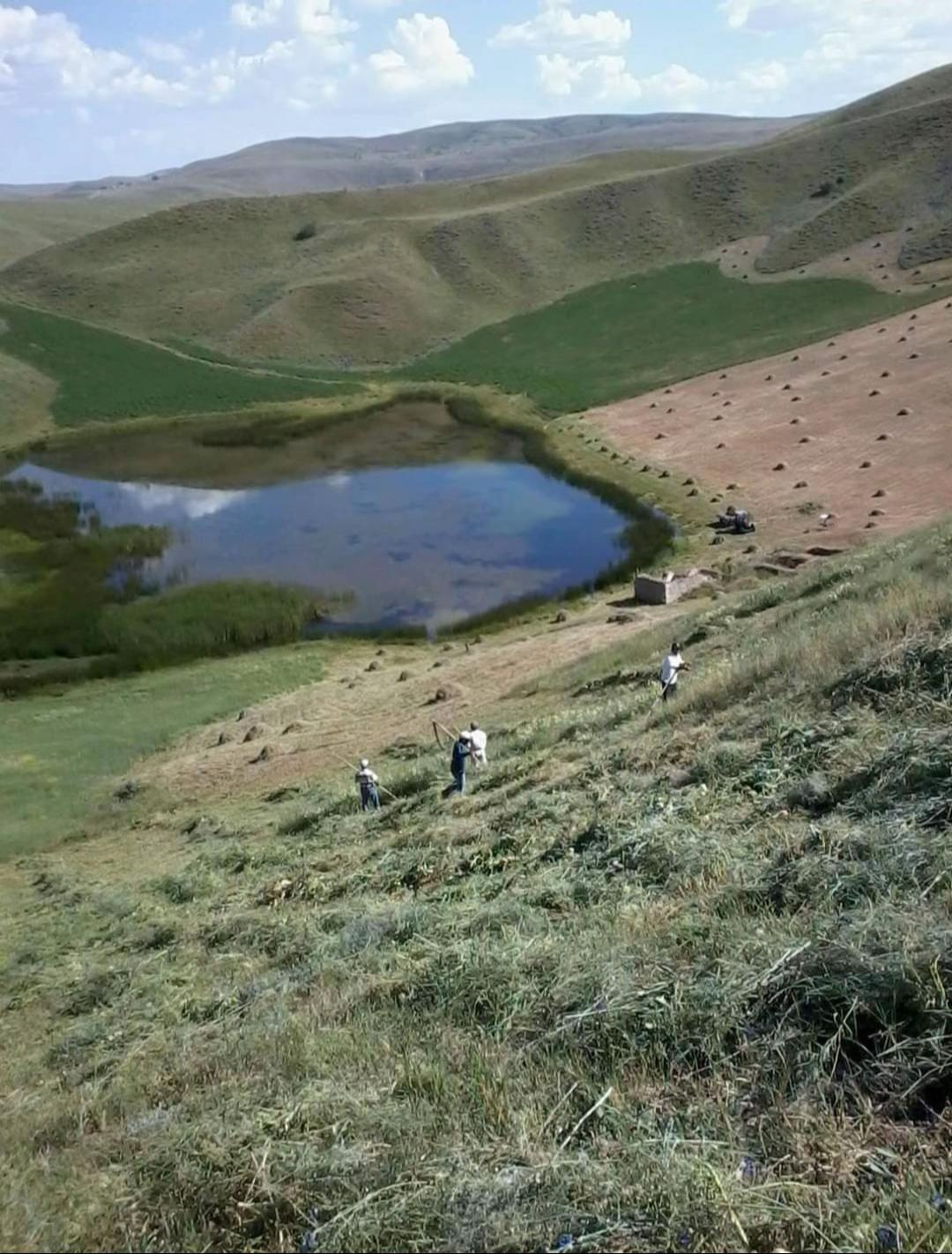 @savaş