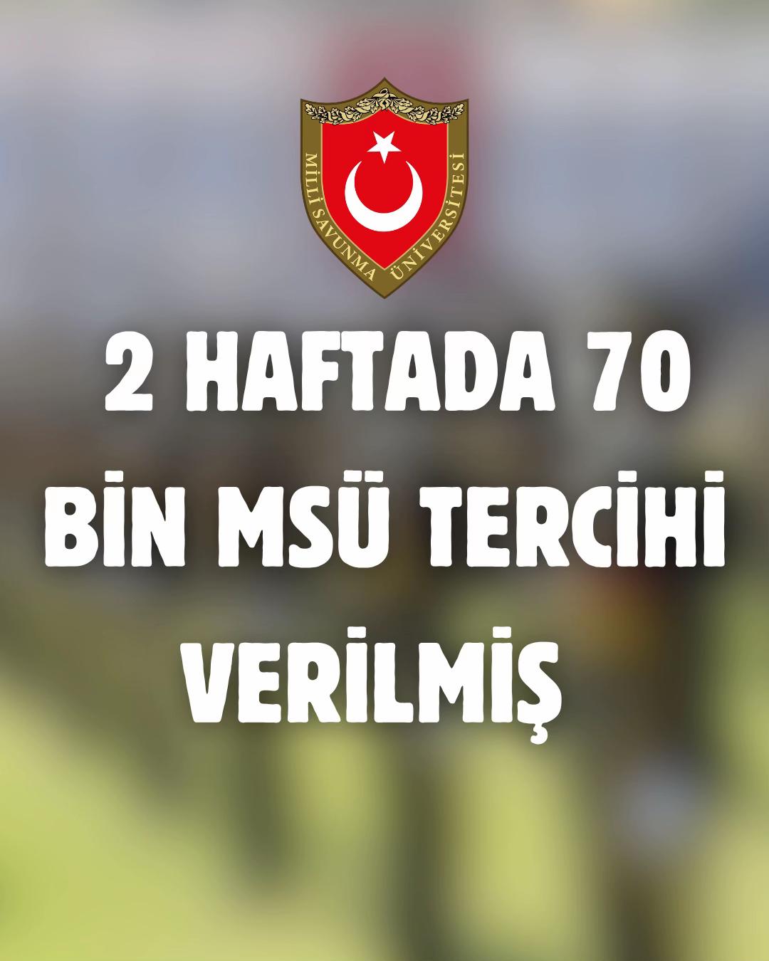 @msu.rehberim