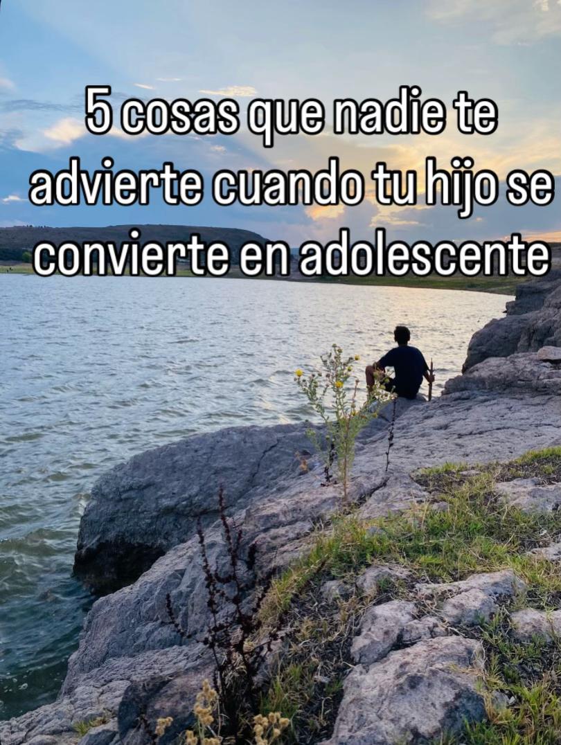 @Fer | Mam&aacute; de un adolescente