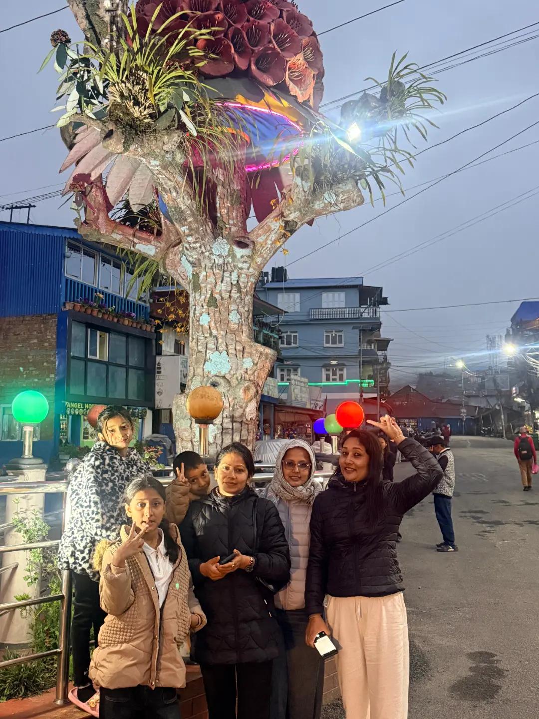 @ranjitabasnet