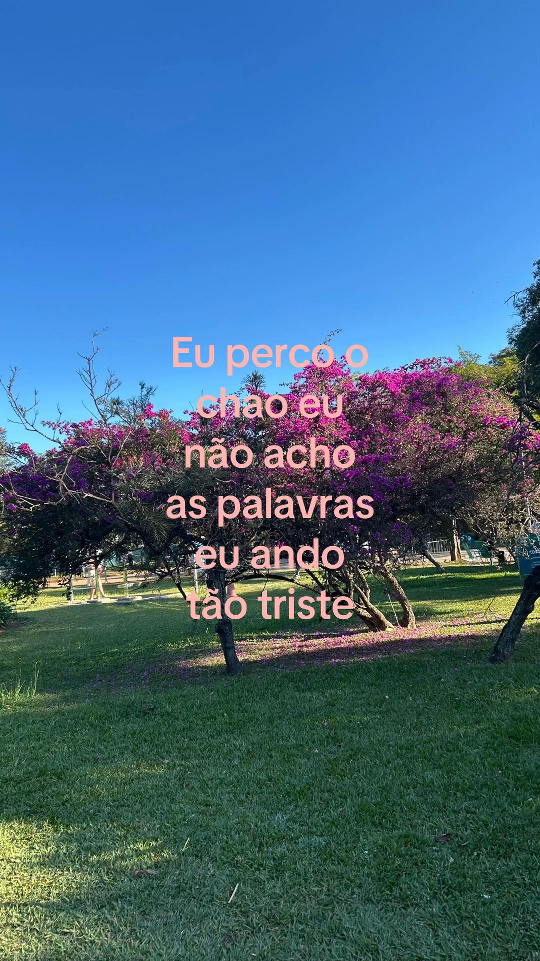 @Mayk
