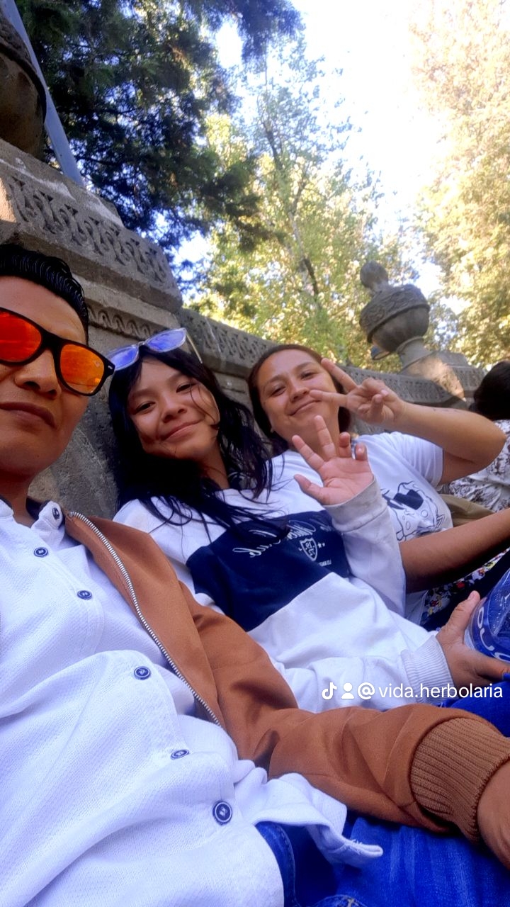 @Vida Herbolaria