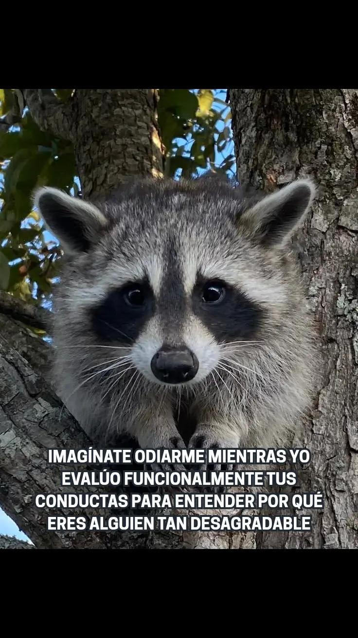 @Psicología Ciencia y Conducta