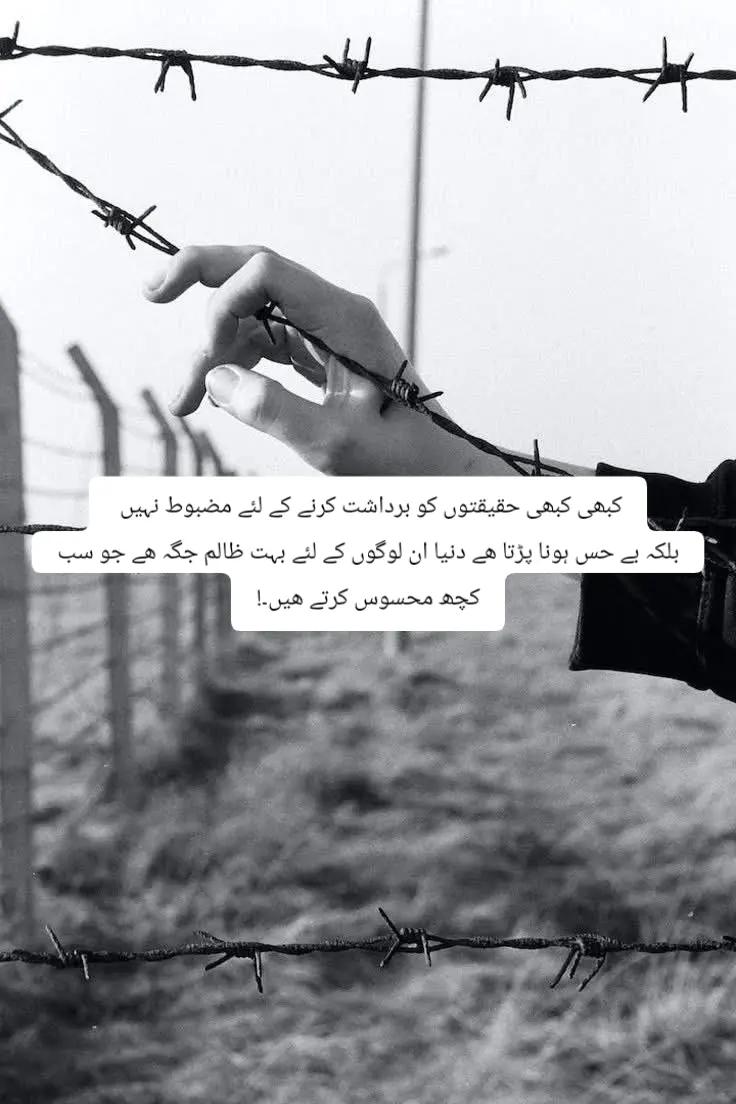 @Kainat Ch