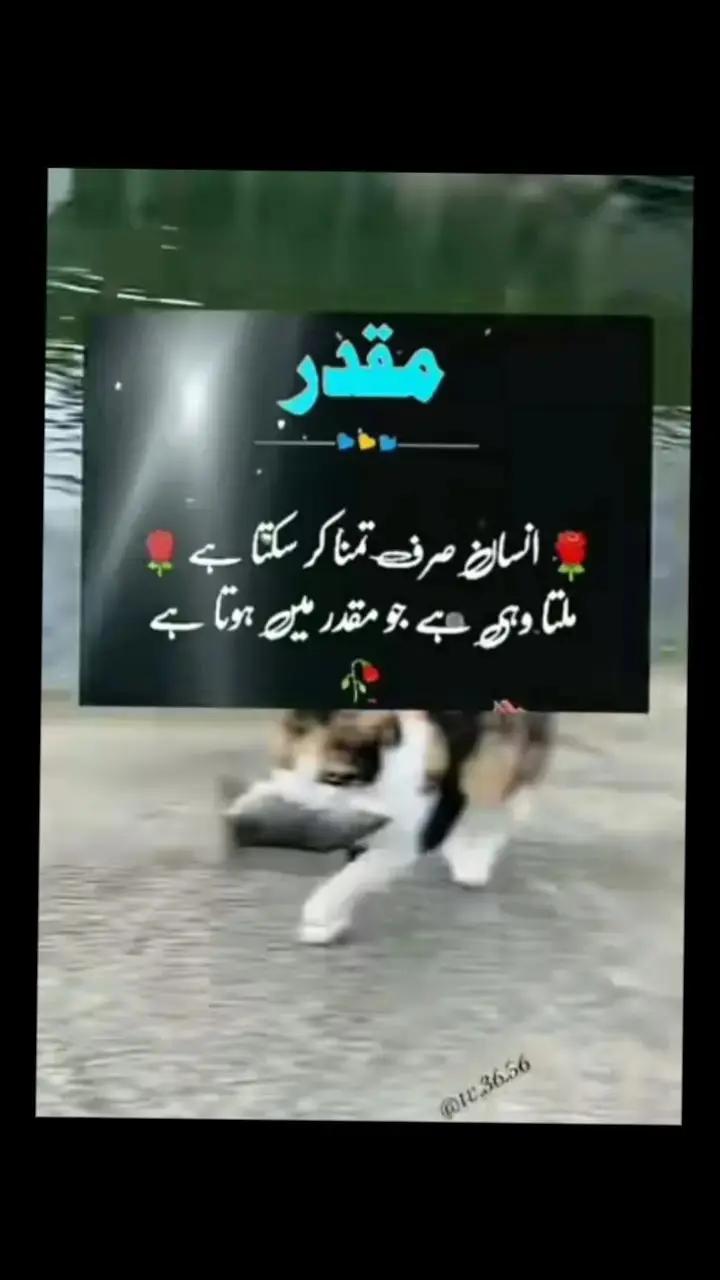 @Allah is Tha best