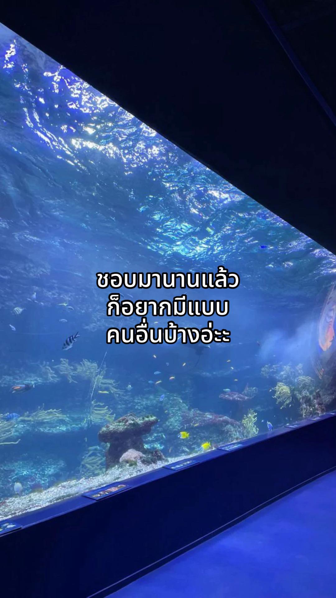 @ไทป์หมาแก่.🐶💤