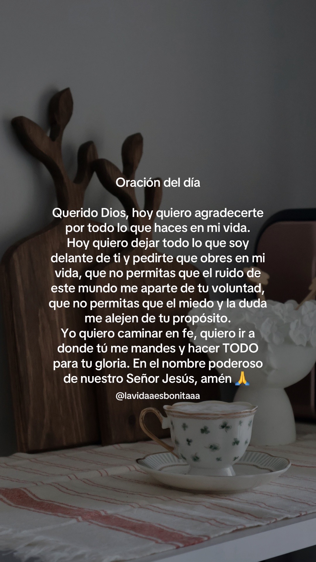 @vidabonita❤️&zwj;🩹